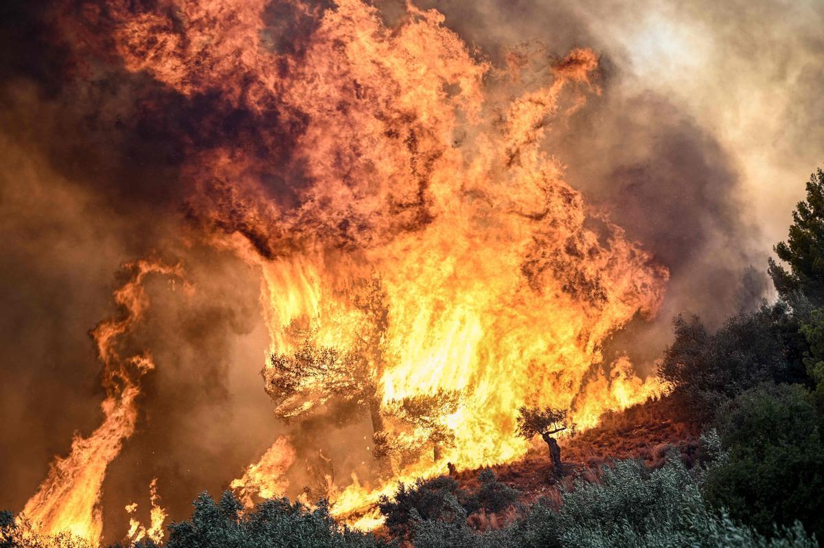 Al menos a 26 personas muertas en una nueva ola de incendios en Grecia