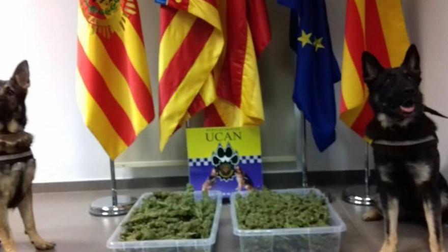 Golpe antidroga de la patrulla canina de Vila-real