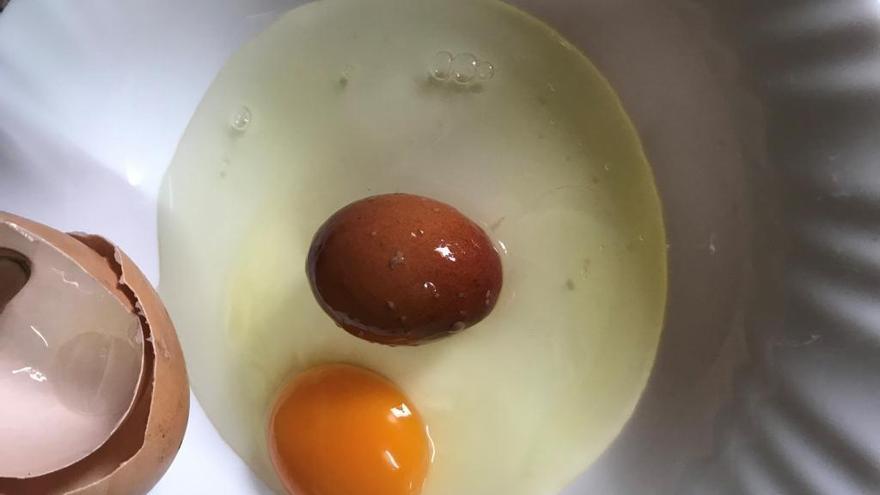 Encuentra un huevo dentro de otro en Aldeanueva de la Vera