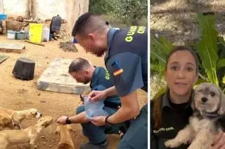 Guardia Civil pide a la población con perros que extreme la vigilancia en las calles: "Ten cuidado"