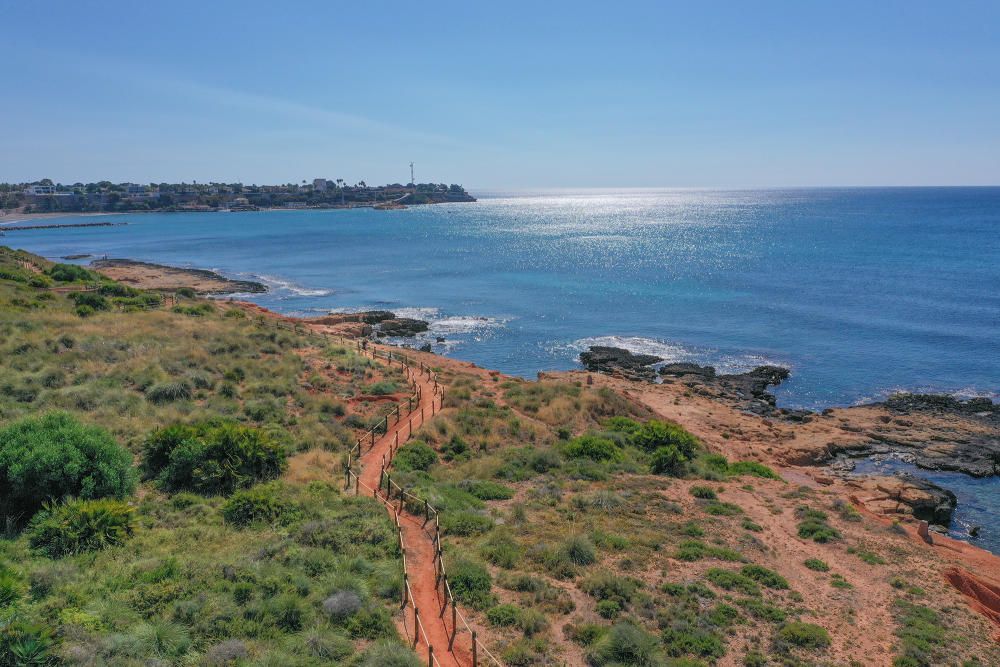 El Ayuntamiento de Orihuela ha invertido 32.000 euros en adecuar un sendero de 1,4 kilómetros en la microrreserva de flora de Punta de La Glea y ha presentado guía con las 56 especies de flora, muchas