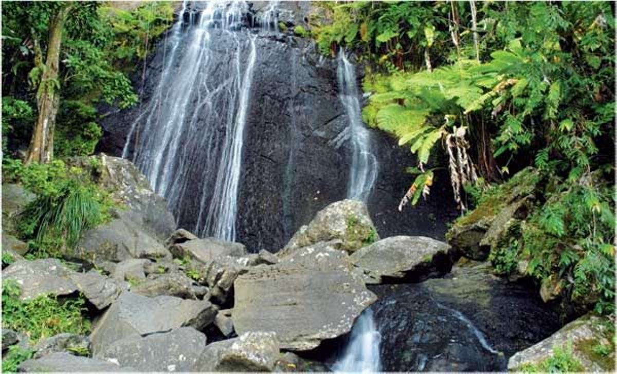 Parque Nacional deEl Yunque.