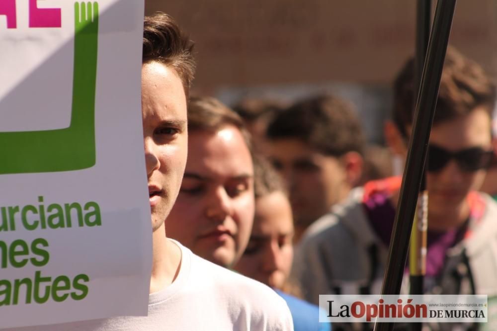 Protestas por Educación por las calles de Murcia