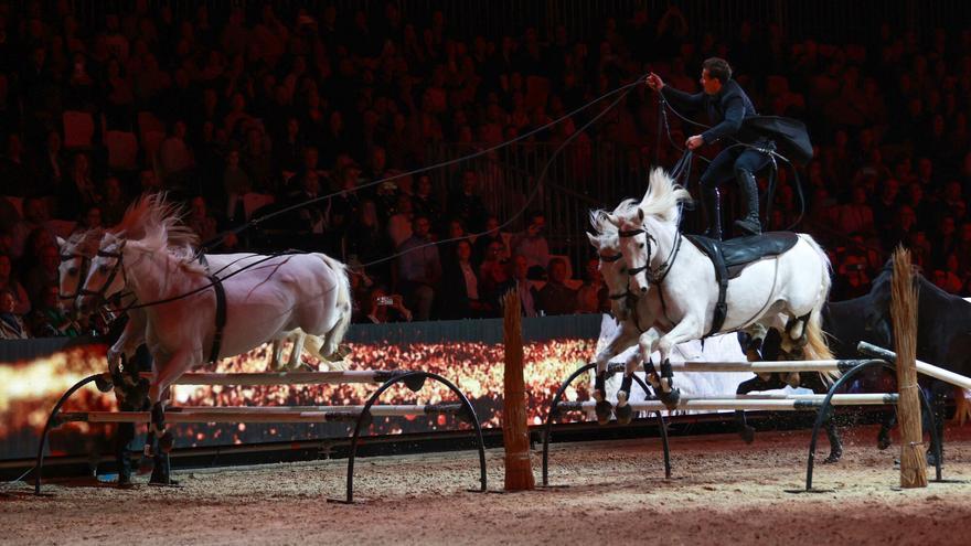 FOTOGALERÍA | Así ha sido la inauguración del Sicab 2025 en Sevilla