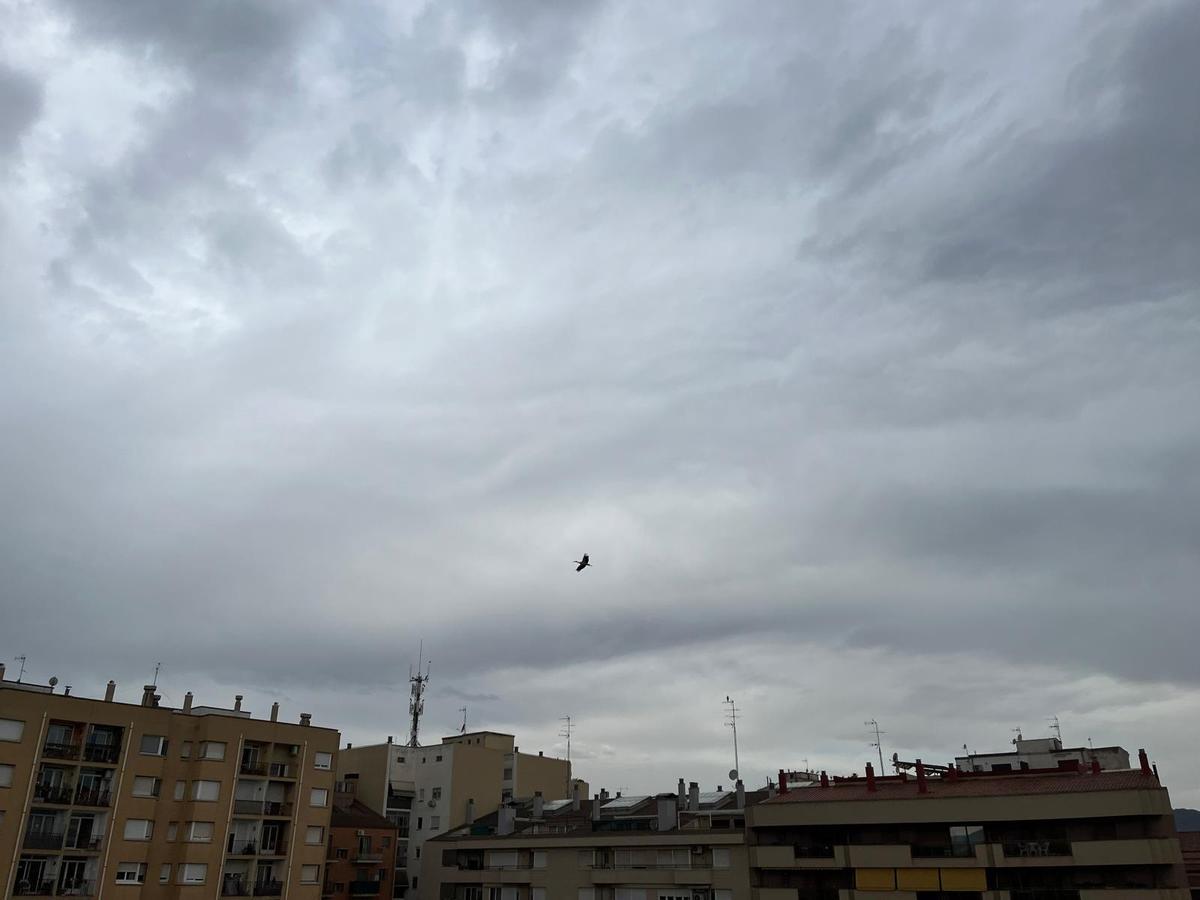Un estol de cigonyes per Manresa Un estol de cigonyes per Manresa