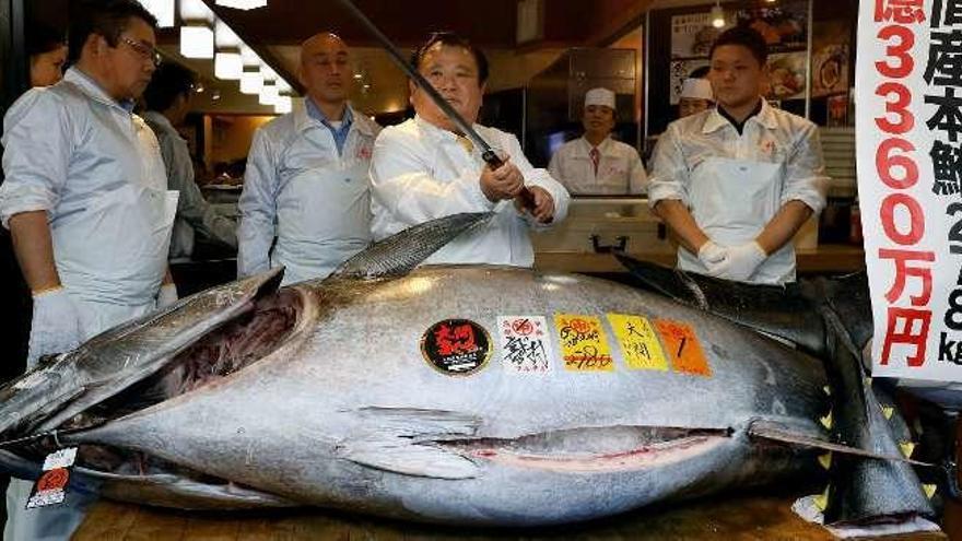 El gran atún rojo subastado en Tokio. // Efe