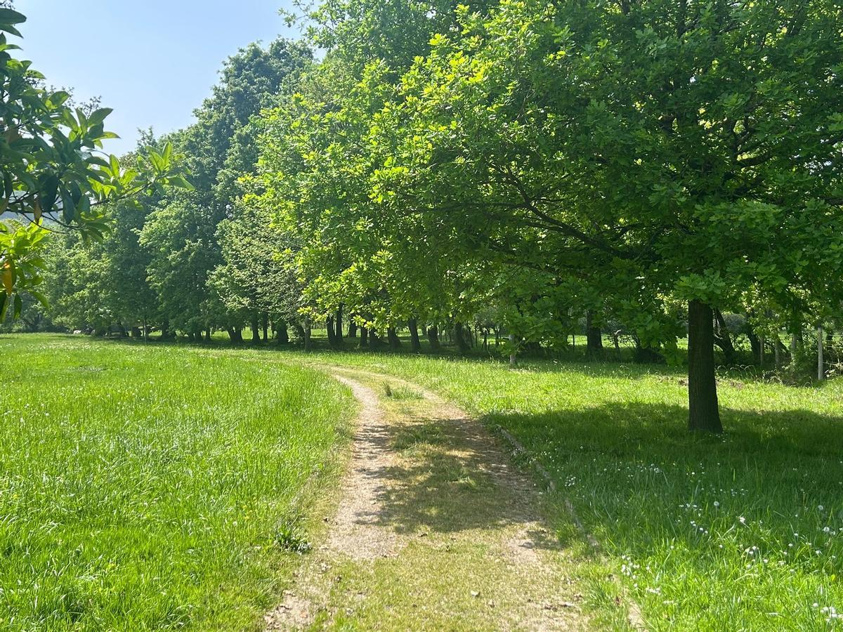 El parque periurbano de Pola de Siero.