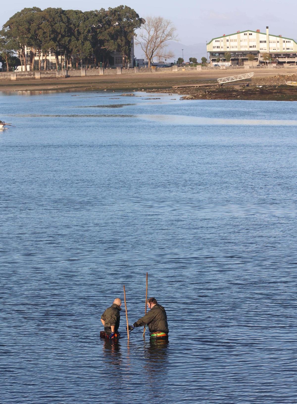Los mariscadores a pie de la ría de O Burgo vuelven a faenar tras casi cuatro años de espera Los mariscadores a pie de la ría de O Burgo vuelven a faenar tras casi cuatro años de espera
