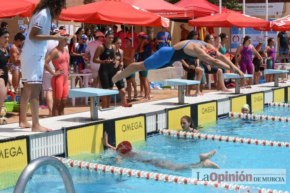 Final del Campeonato regional de natación.