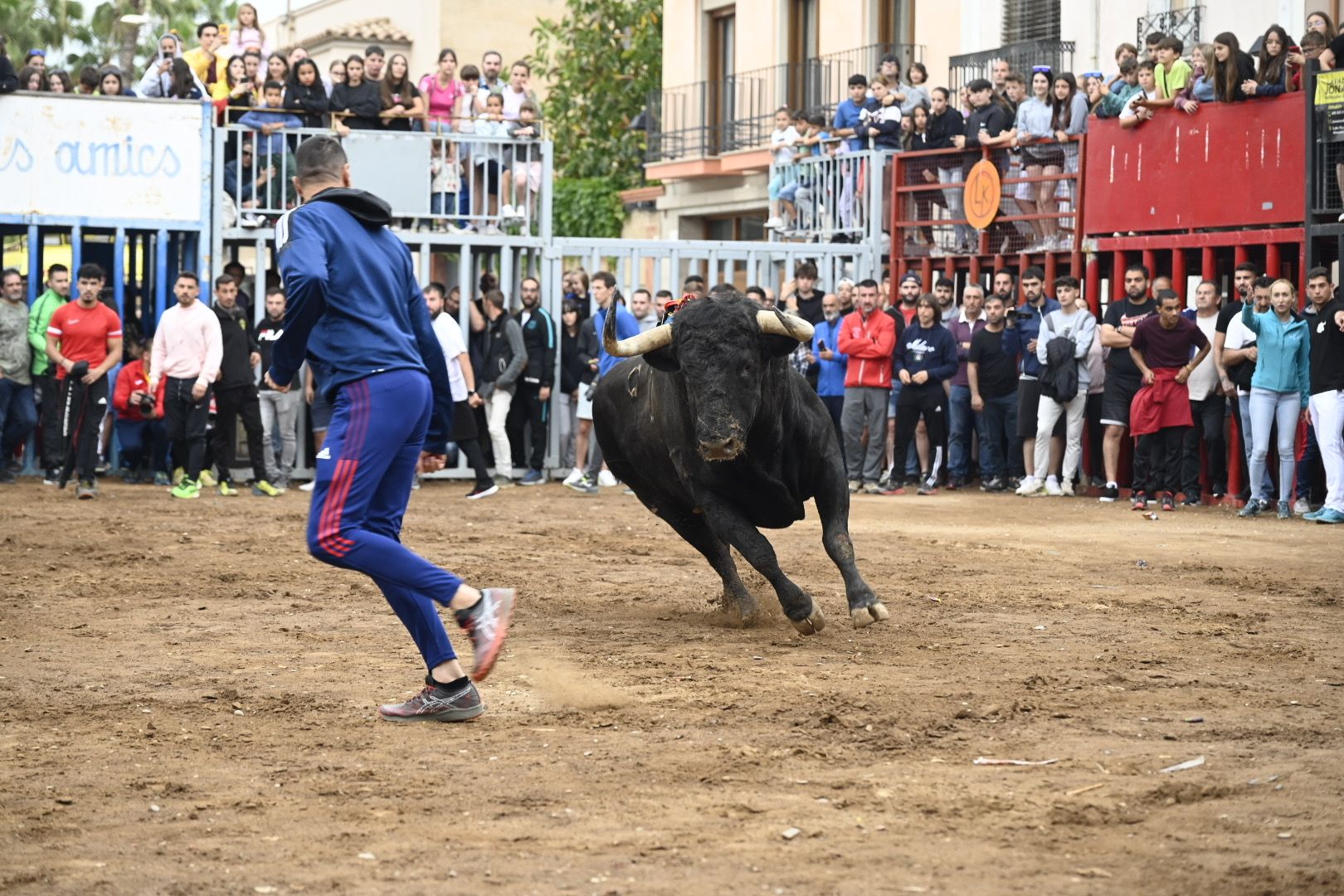 Galería | Las imágenes de la penúltima tarde de toros de las fiestas de Almassora