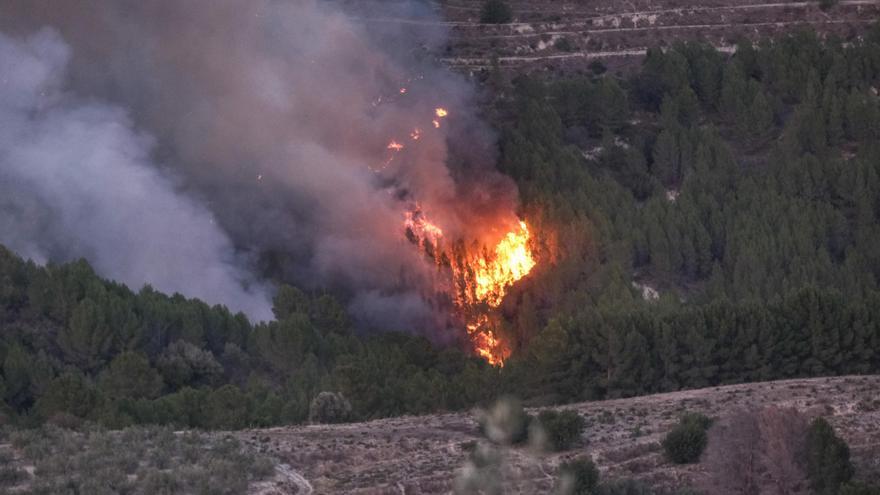 Los expertos auguran un verano &quot;malísimo&quot; con riesgo alto de incendios forestales