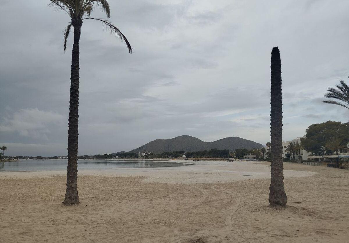 En el Port d'Alcúdia la bajada del nivel del mar ha alcanzado los 60 centímetros