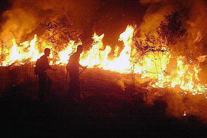 Arde el pulmón del planeta