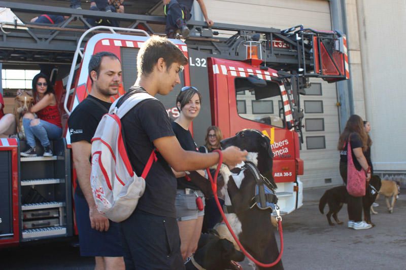 Los Bomberos de Valencia, con la adopción de mascotas