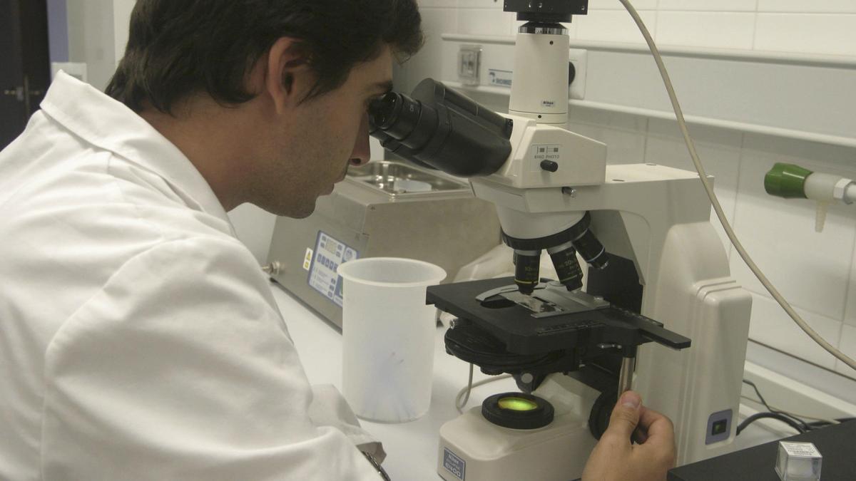 Trabajos de investigación en los laboratorios de Ovigen (Granja Florencia).