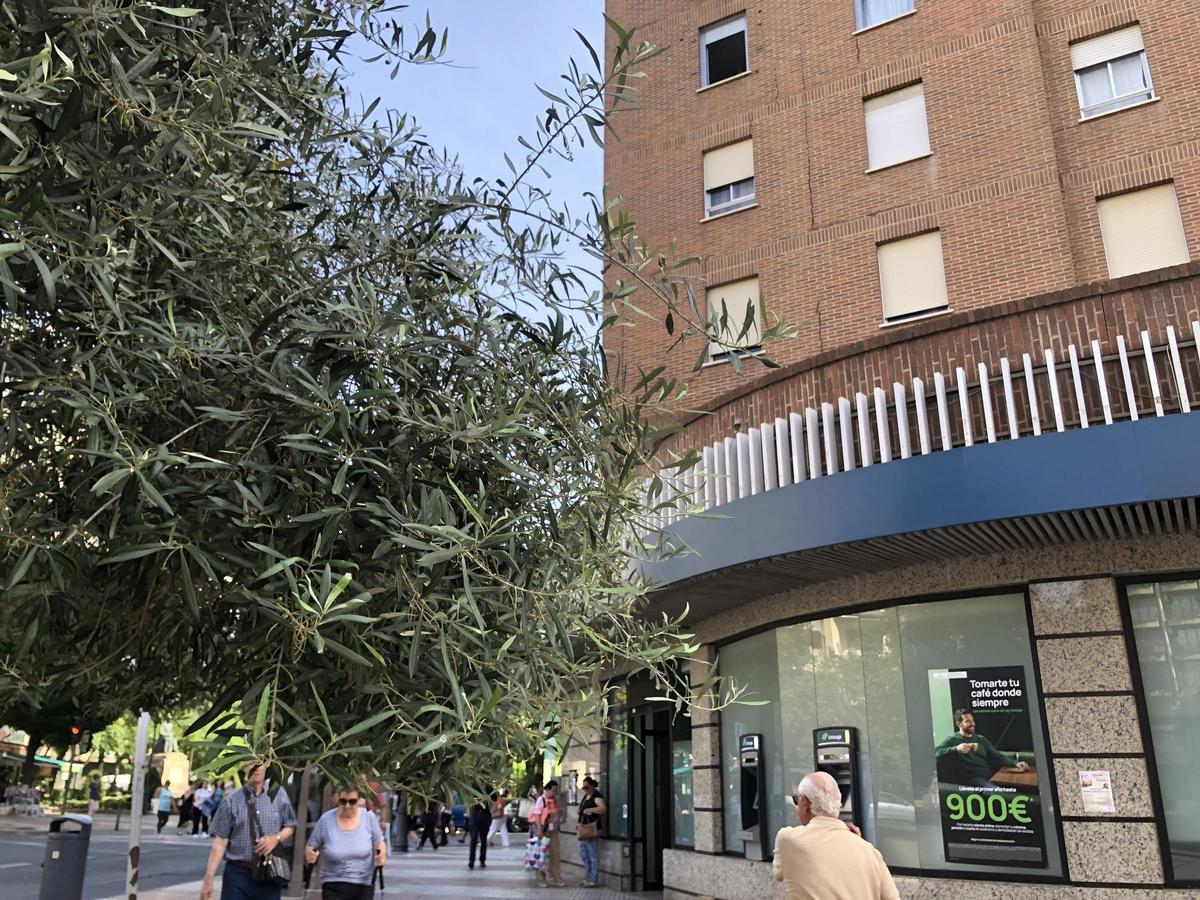Fotogalería | El Edificio El Carmen de Cáceres