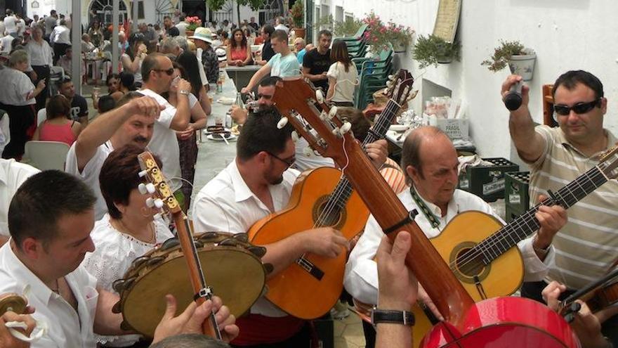 Día del Níspero en Sayalonga