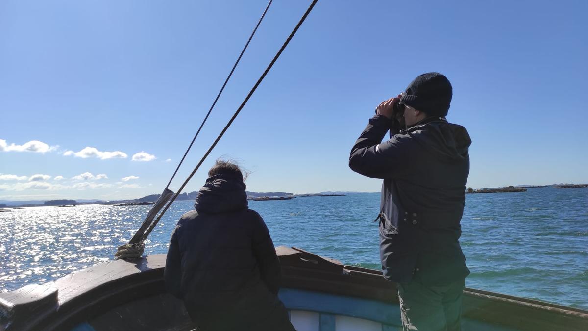 Observación de aves a bordo el &quot;Chasula&quot;, ayer.