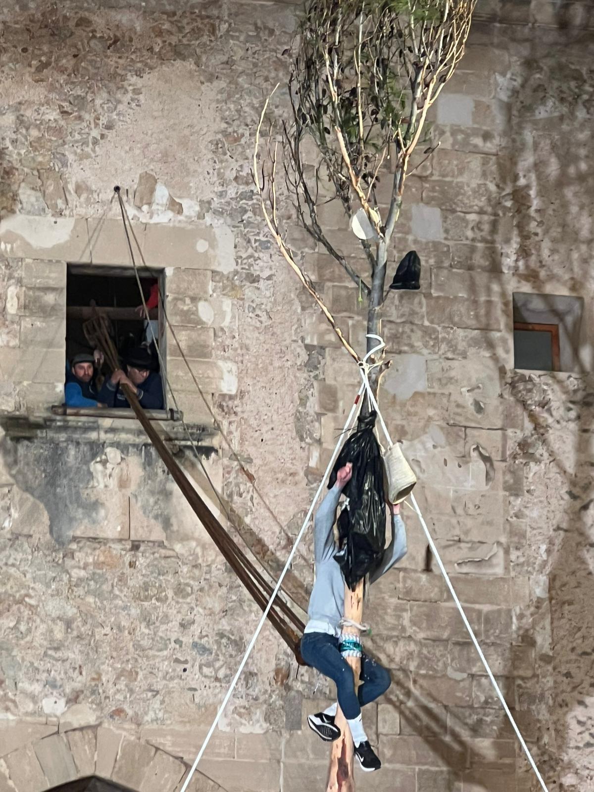 Joan Rabassa corona el pino de Pollença 2026