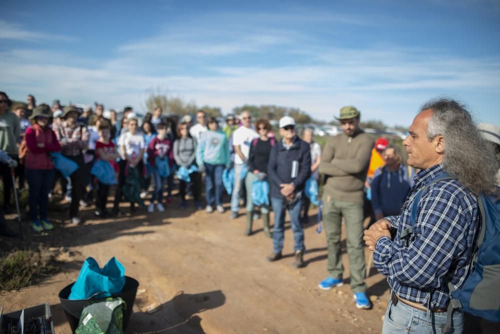 Recogida de plásticos en el Mar Menor