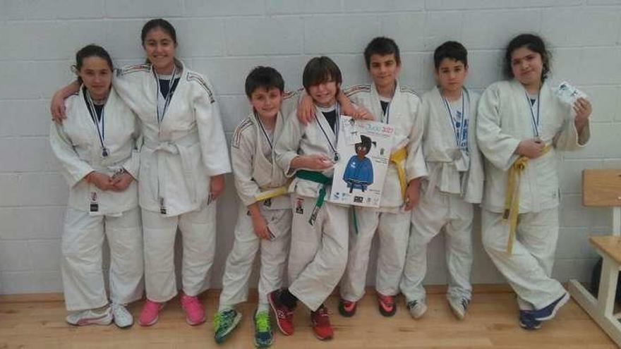 Asistentes a una exhibición de judo en Vilagarcía // FDV