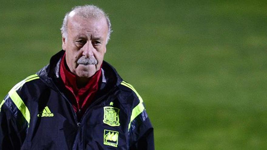 Del Bosque no continúa como seleccionador pero seguirá en la federación