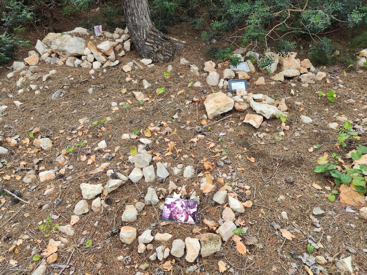El cementerio ilegal de perros y gatos de sa Caleta en imágenes El cementerio ilegal de perros y gatos de sa Caleta en imágenes