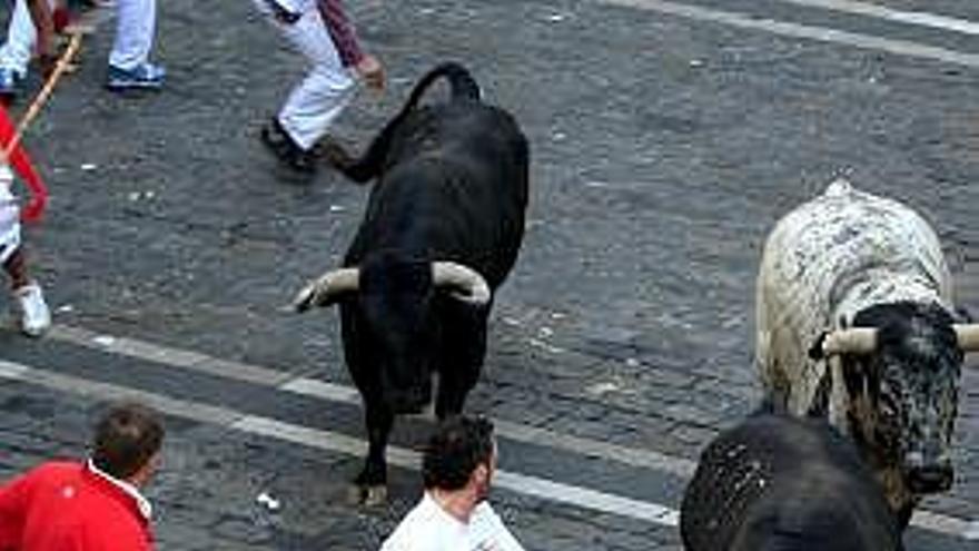 Varios mozos corren en el tramo de la Plaza del Ayuntamiento junto a los toros de la ganadería gaditana de Cebada Gago durante el segundo encierro de los Sanfermines 2008.