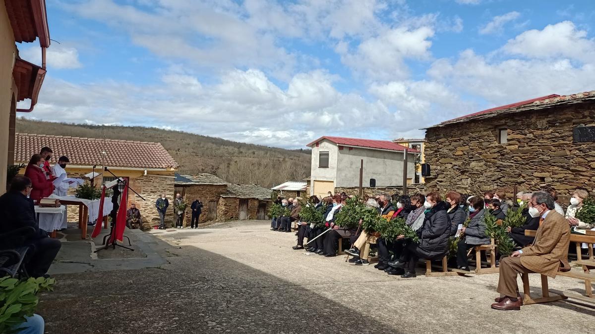 Domingo de Ramos en Bercianos de Aliste