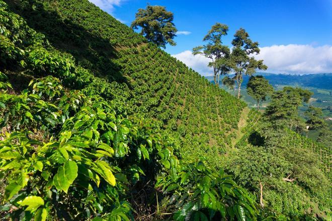 Manizales, ruta telenovelas colombianas