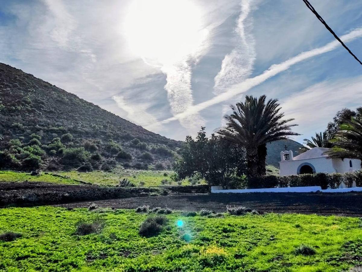 Los campos del norte de Lanzarote se tiñen de verde por las lluvias del invierno