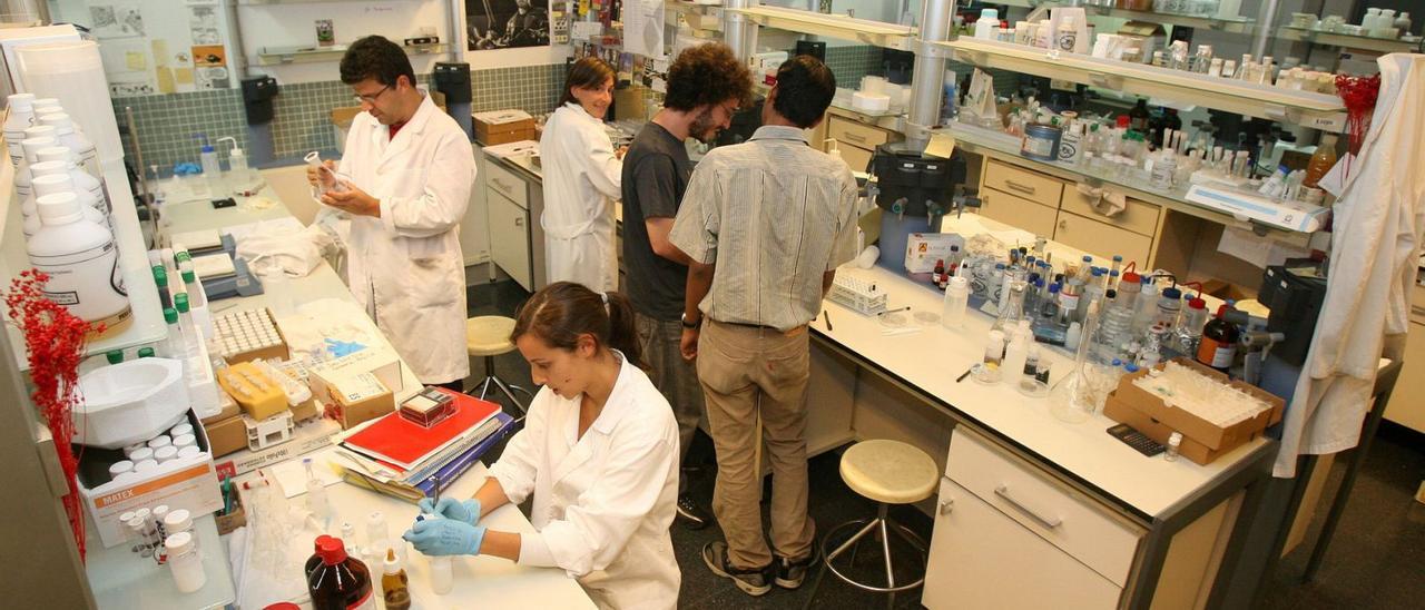 Un grupo de investigadores trabaja en un laboratorio. | | ED