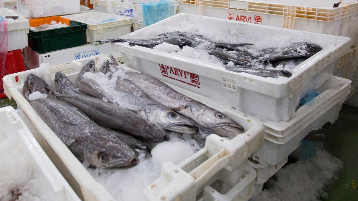 Lotes de merluza en la lonja del Puerto de Vigo.
