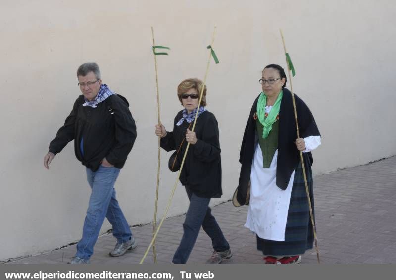 GALERÍA DE FOTOS - Romería Magdalena 2014 (2)