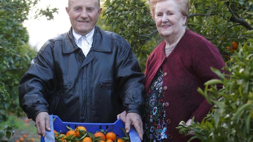 «Las mejores naranjas que he probado»