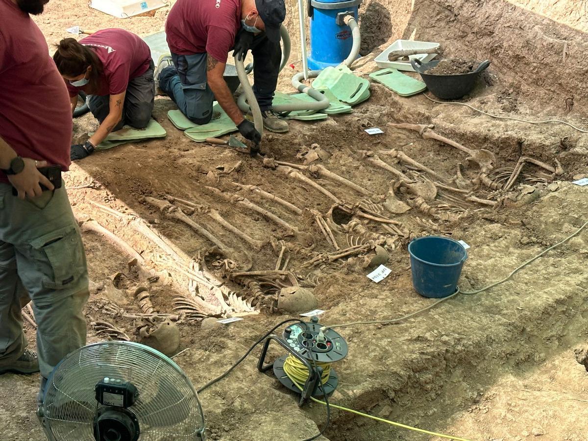 Trabajos de exhumación en la fosa común de Sueca