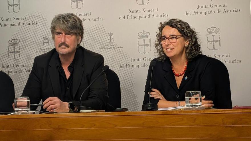 PSOE e IU piden que la financiación de la Universidad de Oviedo se blinde por ley