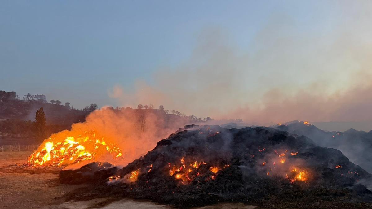 Piles de civada i un femer cremant a Pallerols, nucli de Talavera (Segarra), en el marc d'un incendi agrícola.  Data de publicació: dimecres 17 de juny del 2026, 21:57