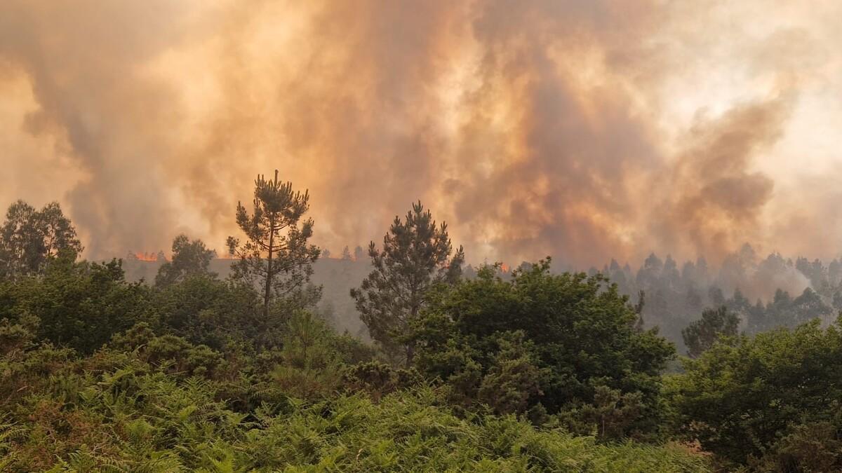 Frente del incendio ya en la parroquia d eLampai, Ayuntamiento de Teo