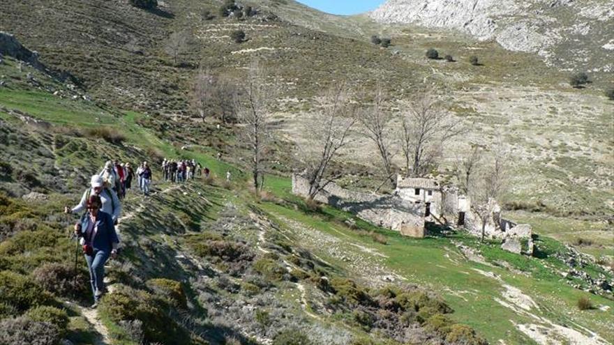 Fuente de la Higuera