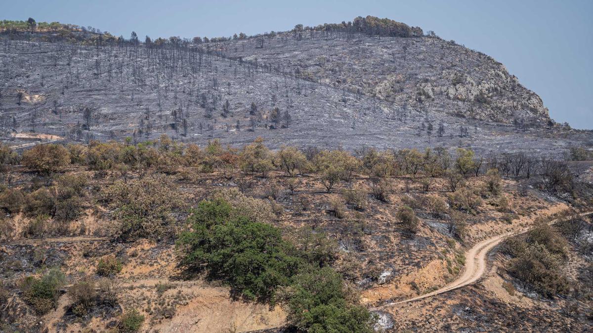 Donen per controlat l&#039;incendi d&#039;Artesa de Segre que ha cremat 2.700 hectàrees