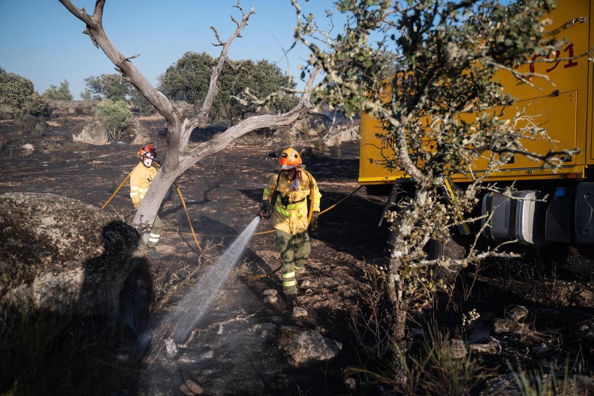 Fotogalería | Las imágenes del incendio de Las Viñas, en Arroyo de la Luz