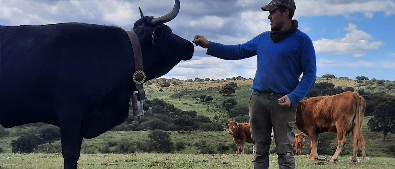 Amigo de los animales y triunfador en TikTok.