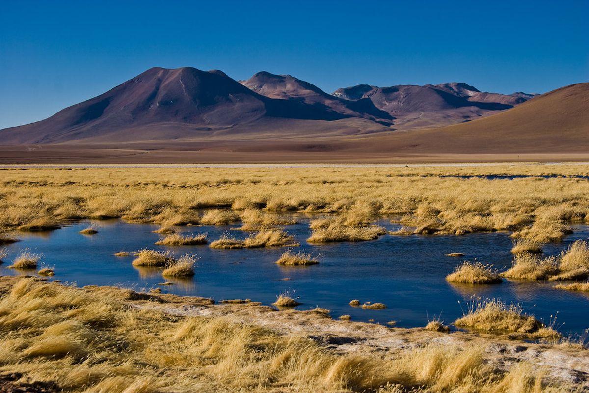 Turbera de Putana en San Pedro de Atacama (Chile).
