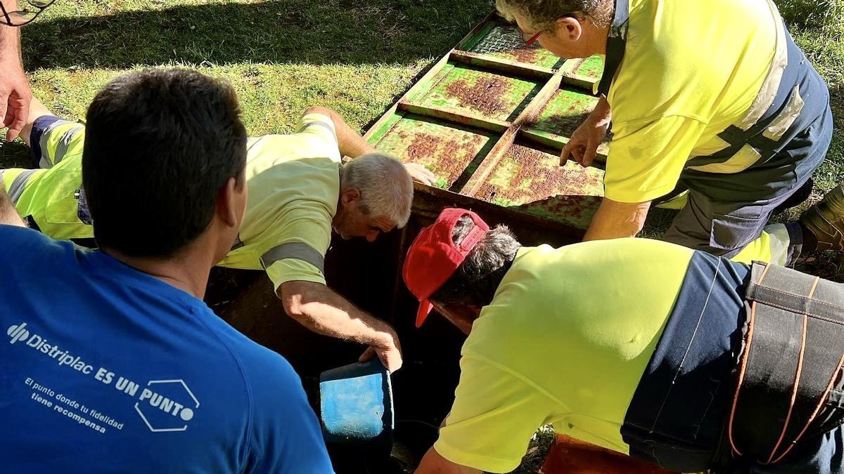 Operarios trabajando en Malpartida de Cáceres este lunes.