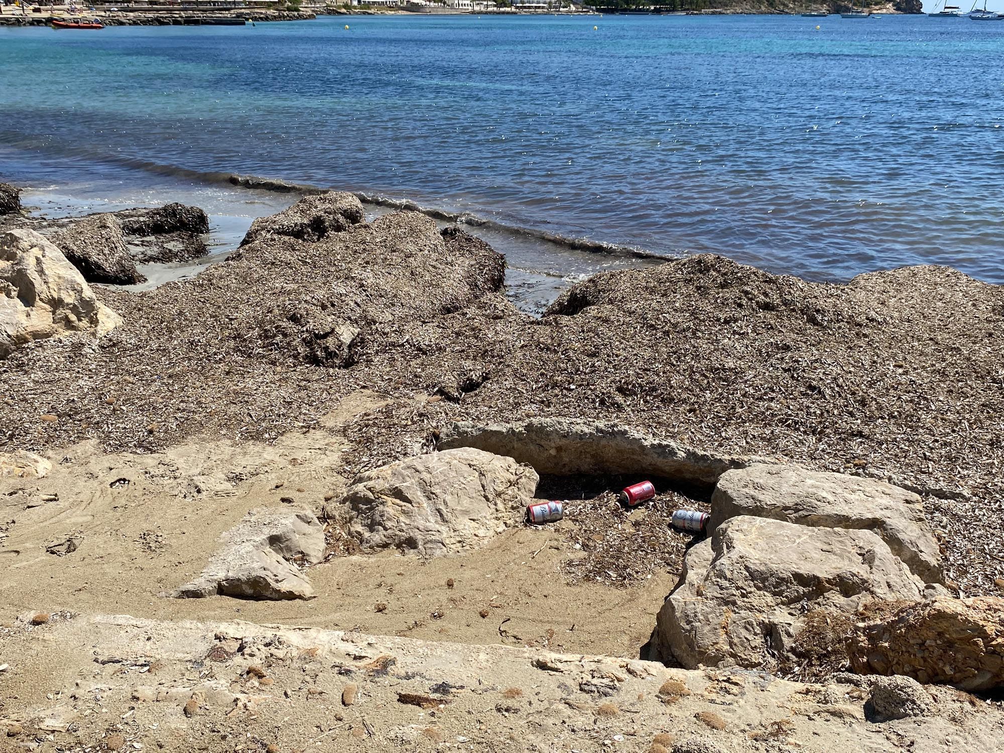 La playa de Figueretes cerrada por un vertido de fecales