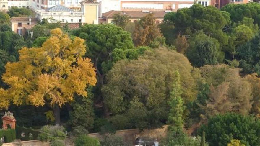 Los colores del Jardín de Monforte