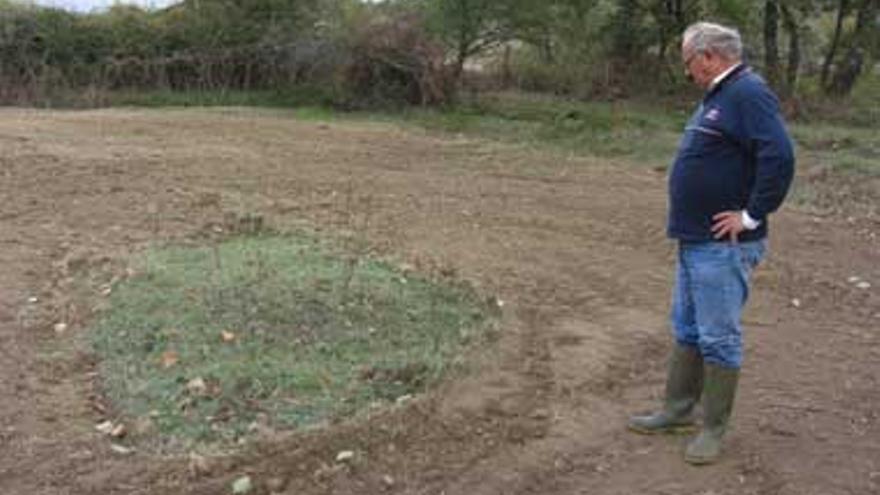 Excavan en Villanueva de la Vera una fosa donde yacen los cuerpos de cinco represaliados