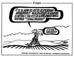 Forges en Diario de Mallorca