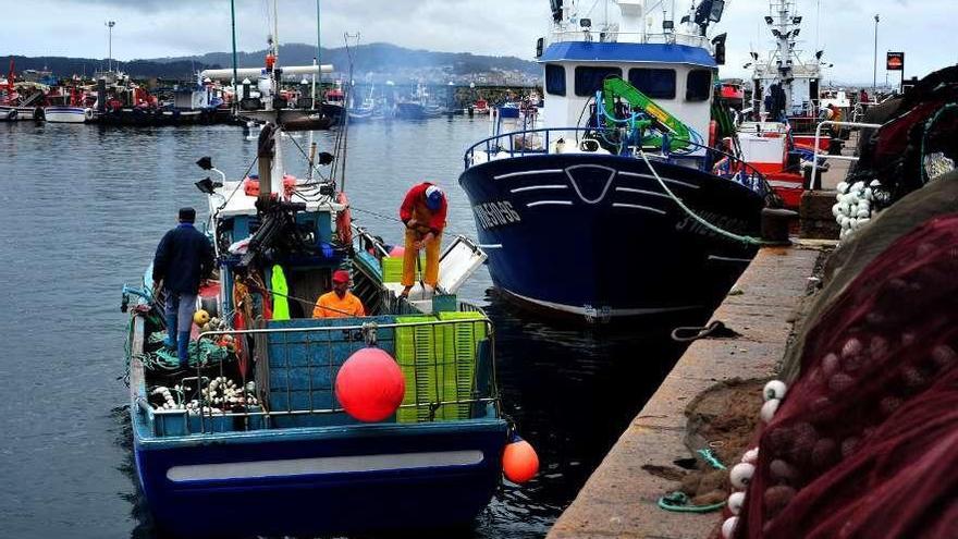 Cerqueros salen de un puerto gallego para iniciar la pesca.